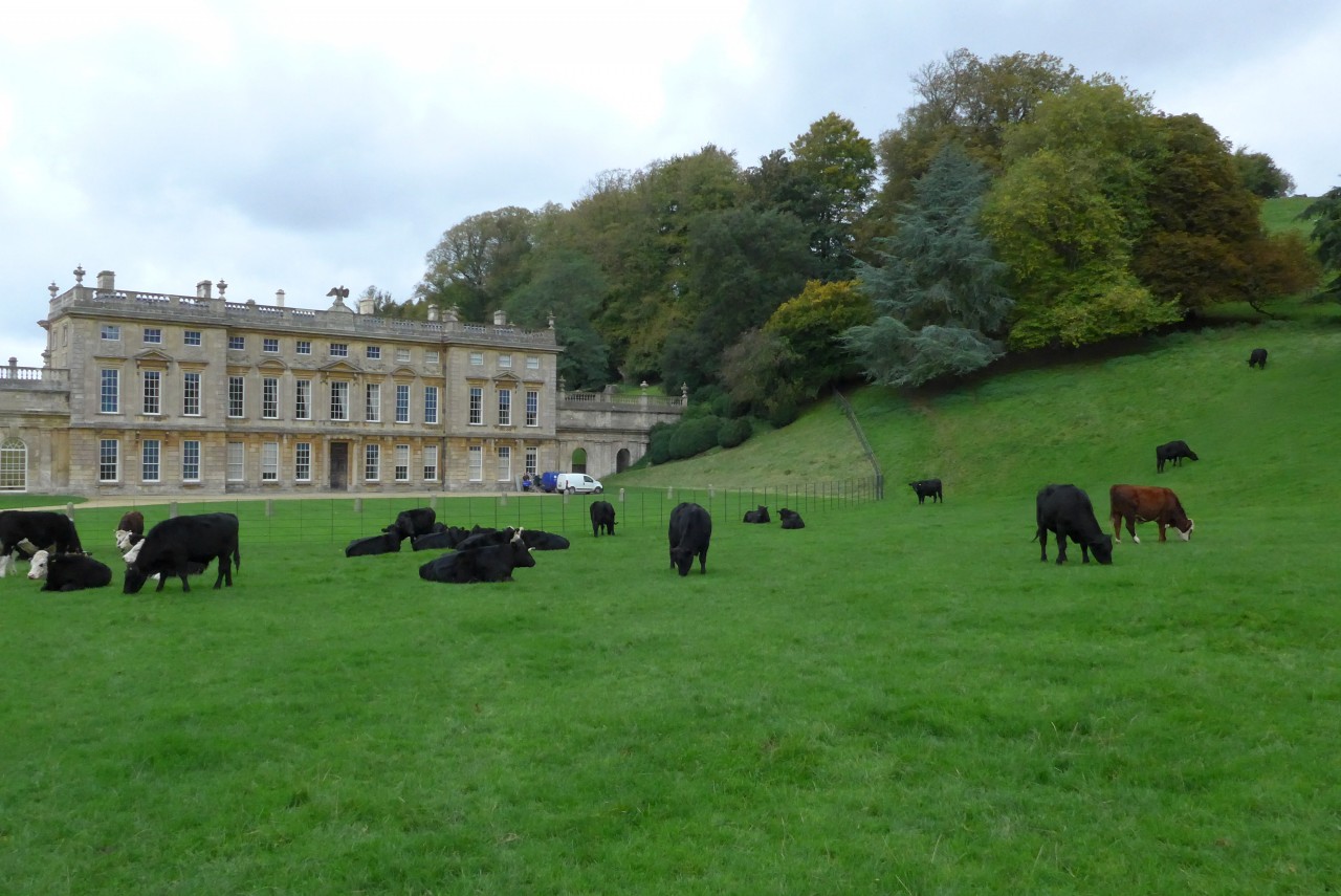 Dyrham_6.jpg