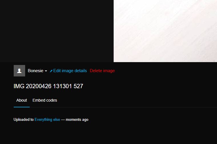 [Linked Image]