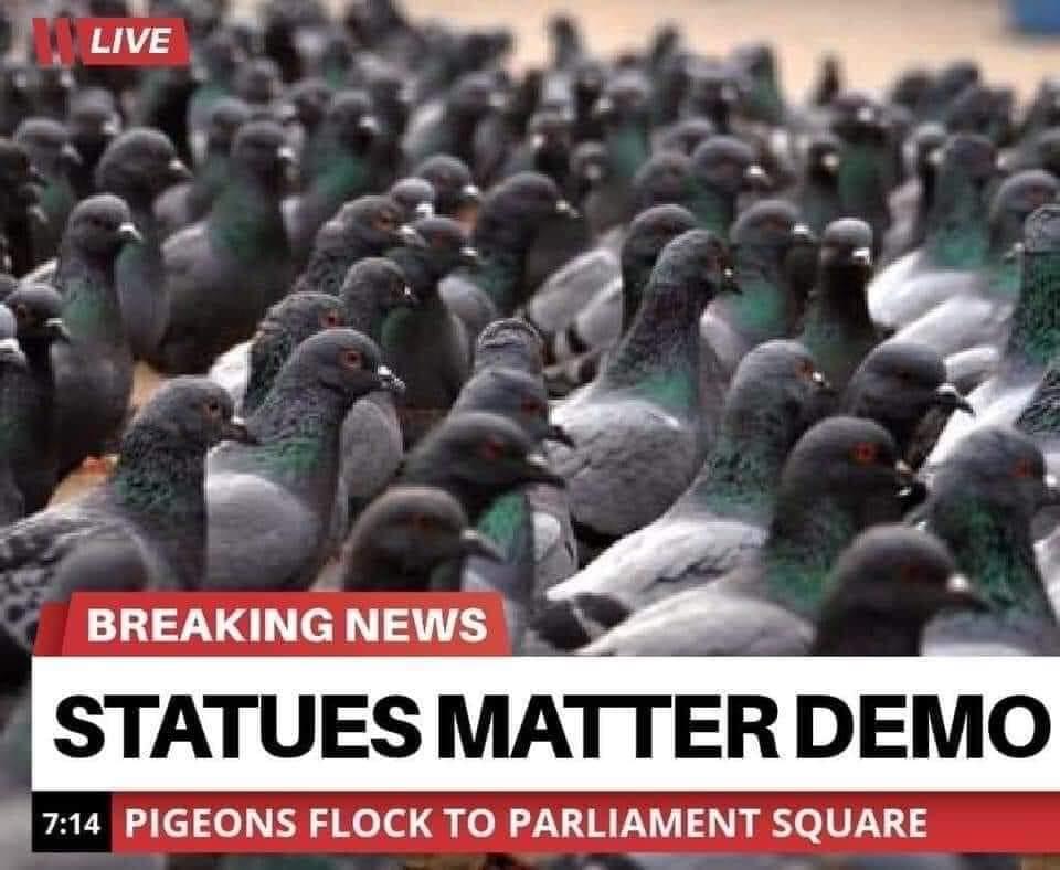 [Linked Image]