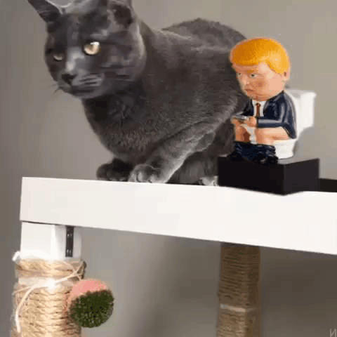 [Linked Image]
