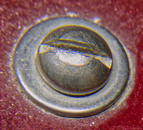  DSC1309